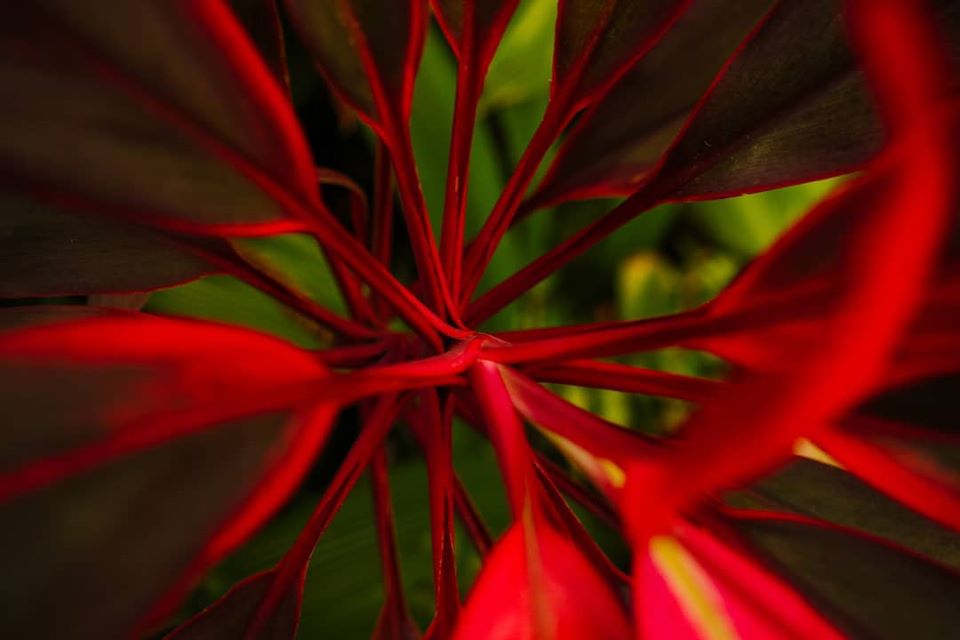 93500308_10157444950519601_725351364191846400_o Some Canadian banks freeze new financing for commercial properties on COVID-19 concerns