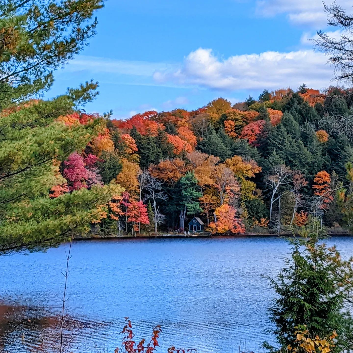 New High-Density Dev. Land Sub-Sector Emerges In Hamilton