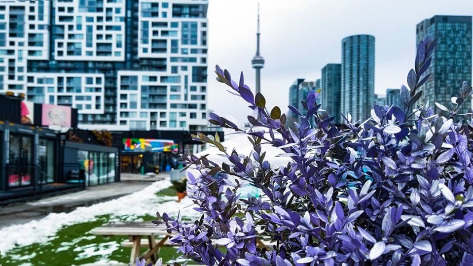 Canadian Retail CRE Snapshot: Quality Space ‘Shrinking Quickly’